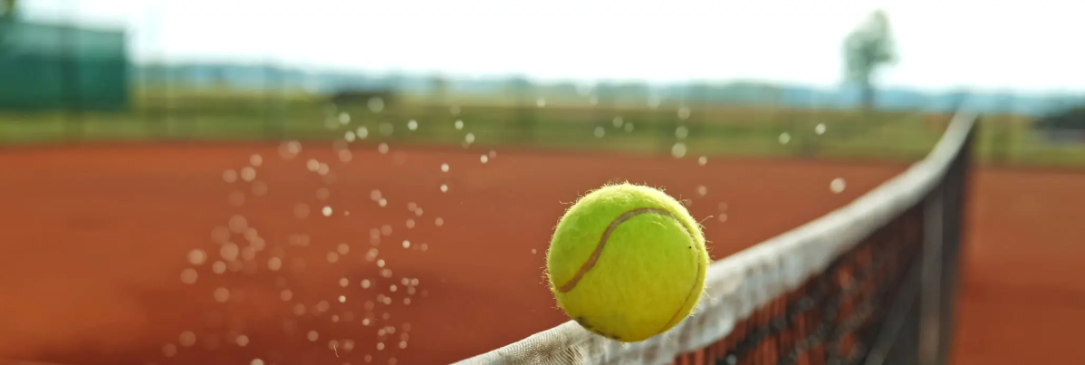 Image stylisée du club