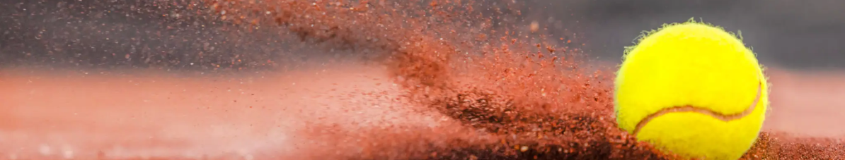 Image stylisée du club